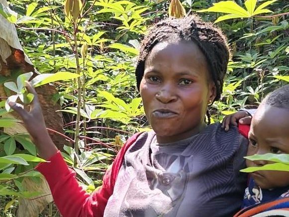 ACE D&H Consultants Ltd Delivers Comprehensive Evaluation for FAO’s Restoration Initiative in DRC