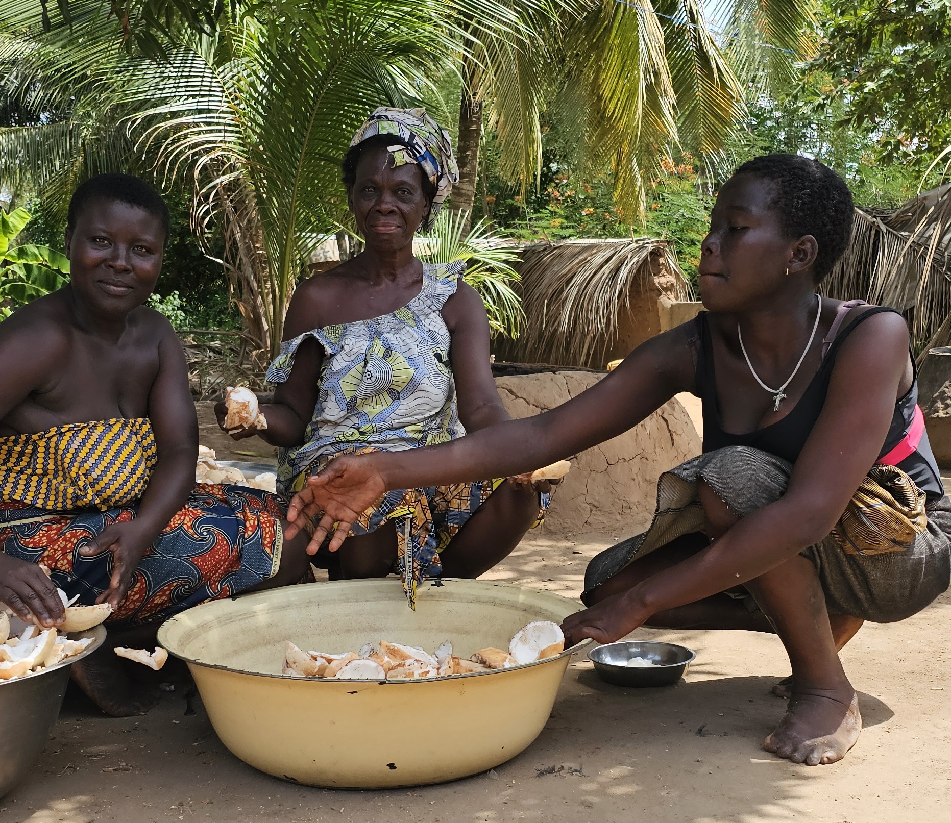 ACE D&H Consultants and BrightWay Sarl awarded grant to map Congo Basin Actors