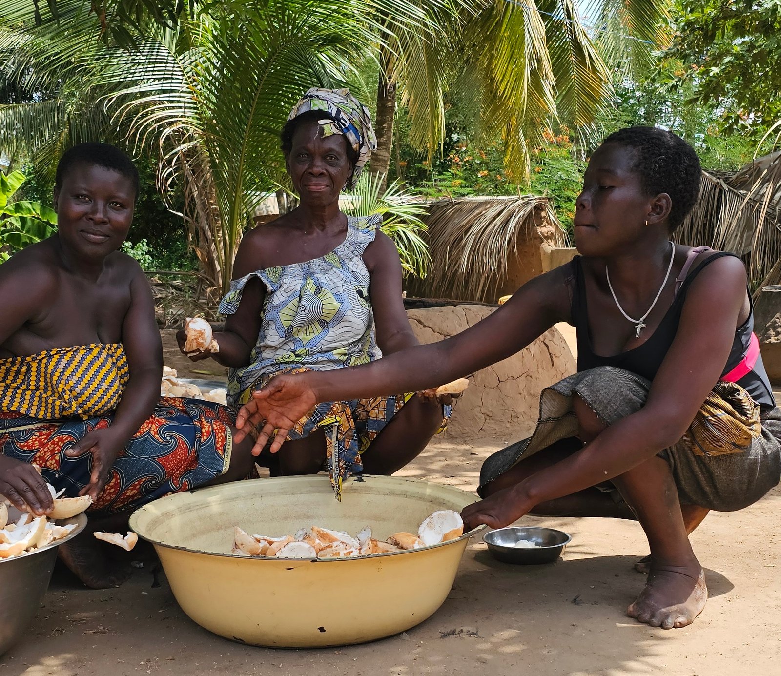 ACE D&H Consultants and BrightWay Sarl awarded grant to map Congo Basin Actors